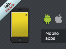 This script displays a layer in the app.